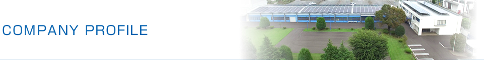 COMPANY PROFILE