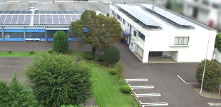 Company Profile